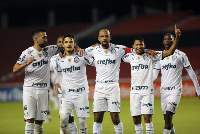 Palmeiras 4
